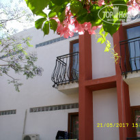 фото из отзыва ID 1530240