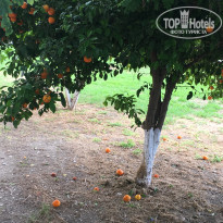 фото из отзыва ID 1530296