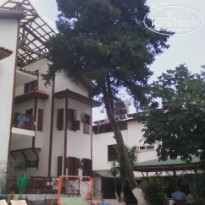 фото из отзыва ID 1530395