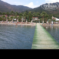 фото из отзыва ID 1530581