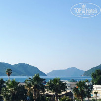 фото из отзыва ID 1530507