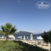 фото из отзыва ID 1530507