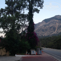 фото из отзыва ID 1530713