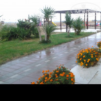 фото из отзыва ID 1530724