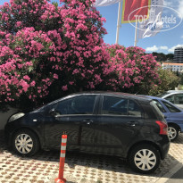 фото из отзыва ID 1530737