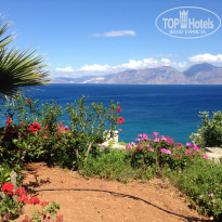 фото из отзыва ID 1530833