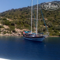 фото из отзыва ID 1530847