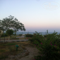 фото из отзыва ID 1530954