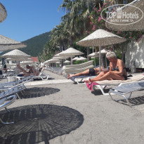 фото из отзыва ID 1530987