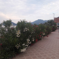 фото из отзыва ID 1530987