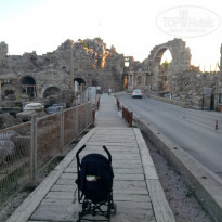 фото из отзыва ID 1531117