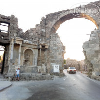 фото из отзыва ID 1531117