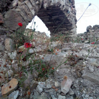 фото из отзыва ID 1531117