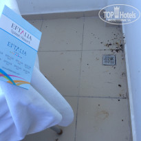 фото из отзыва ID 1531204