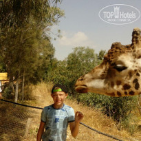 фото из отзыва ID 1531450