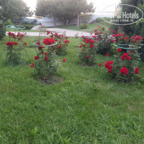 фото из отзыва ID 1531589