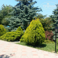 фото из отзыва ID 1531589