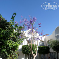 фото из отзыва ID 1531858