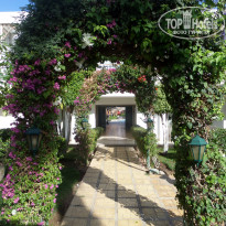 фото из отзыва ID 1531858