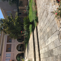 фото из отзыва ID 1531351