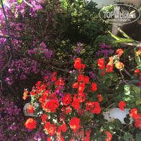 фото из отзыва ID 1531351