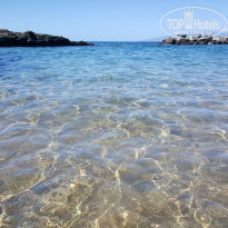 фото из отзыва ID 1532004