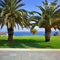 фото из отзыва ID 1532004