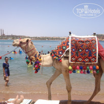 фото из отзыва ID 1532068