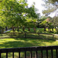 фото из отзыва ID 1532161