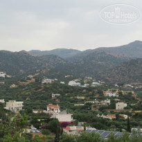 фото из отзыва ID 1532185