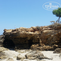 фото из отзыва ID 1532276