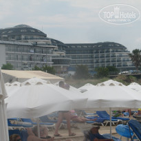 фото из отзыва ID 1532490