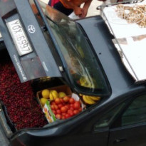 фото из отзыва ID 1532491