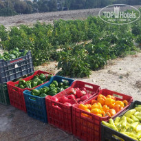 фото из отзыва ID 1532507