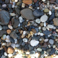 фото из отзыва ID 1532507