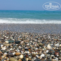 фото из отзыва ID 1532507