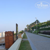 фото из отзыва ID 1532580