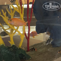 фото из отзыва ID 1532677