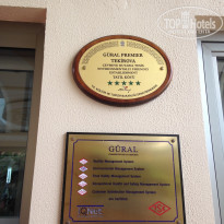 фото из отзыва ID 1532706