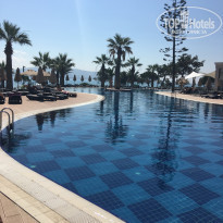 фото из отзыва ID 1532775