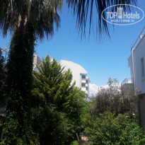 фото из отзыва ID 1532669