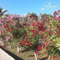 фото из отзыва ID 1532669