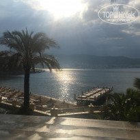 фото из отзыва ID 1532816