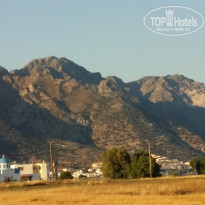 фото из отзыва ID 1532831