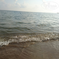 фото из отзыва ID 1532898