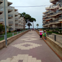 фото из отзыва ID 1533139