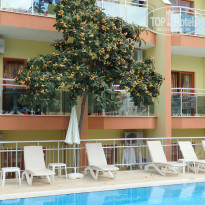 фото из отзыва ID 1533163