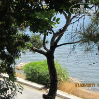 фото из отзыва ID 1533325