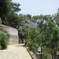 фото из отзыва ID 1533325