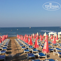 фото из отзыва ID 1533396